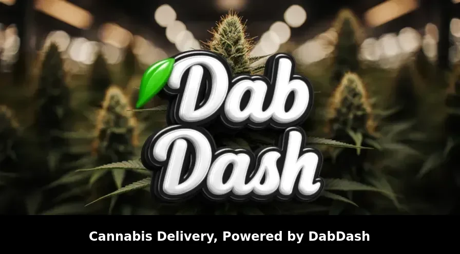 Guide Complet Pour Un Site WordPress Cannabis : SEO, WooCommerce Et Conformité