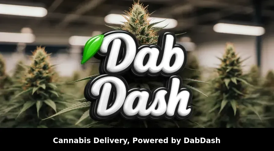 Statistiques de Consommation de Cannabis à Gatineau : Tendances Actuelles