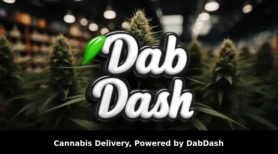 Wie Viele Dispensaries Gibt Es in Zürich - Ein Kompletter Leitfaden