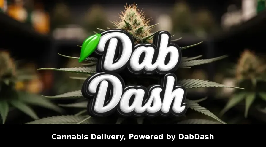 Thème WordPress Pour Marijuana Médicale Guide Complet Et Alternative Plugin