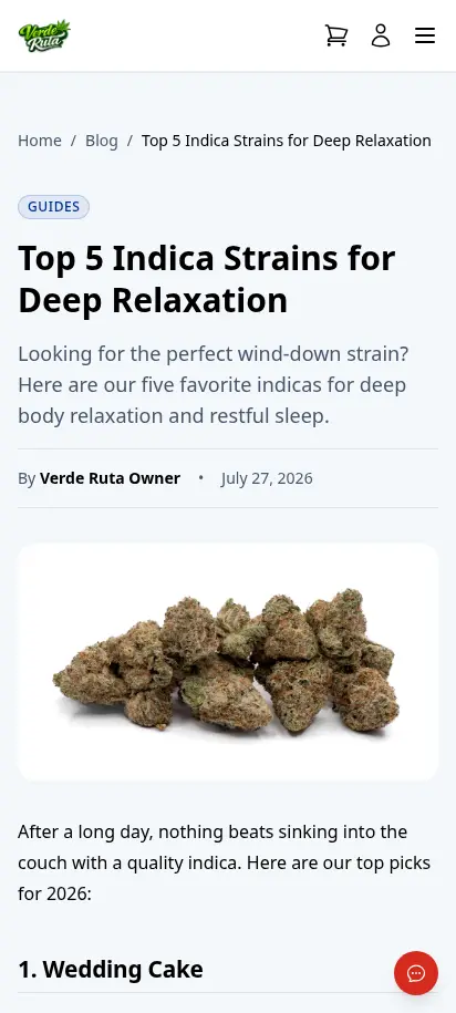 DabDash storefront blog post page showing a full article with branded styling — mobile view