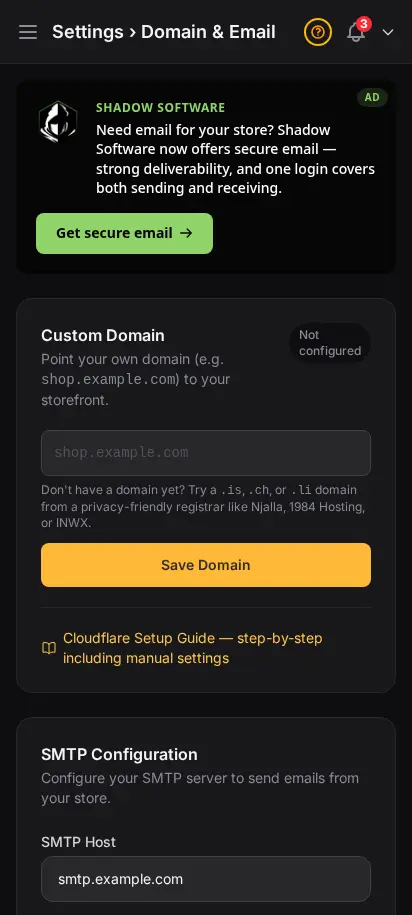 DabDash domain settings showing custom domain setup and DNS verification details — mobile view