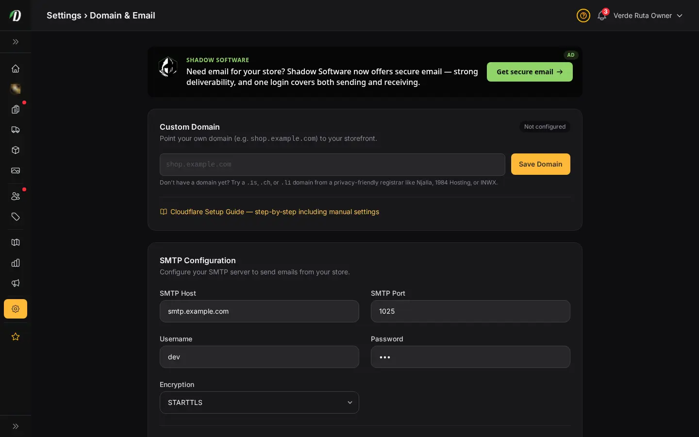 DabDash domain settings showing custom domain setup and DNS verification details