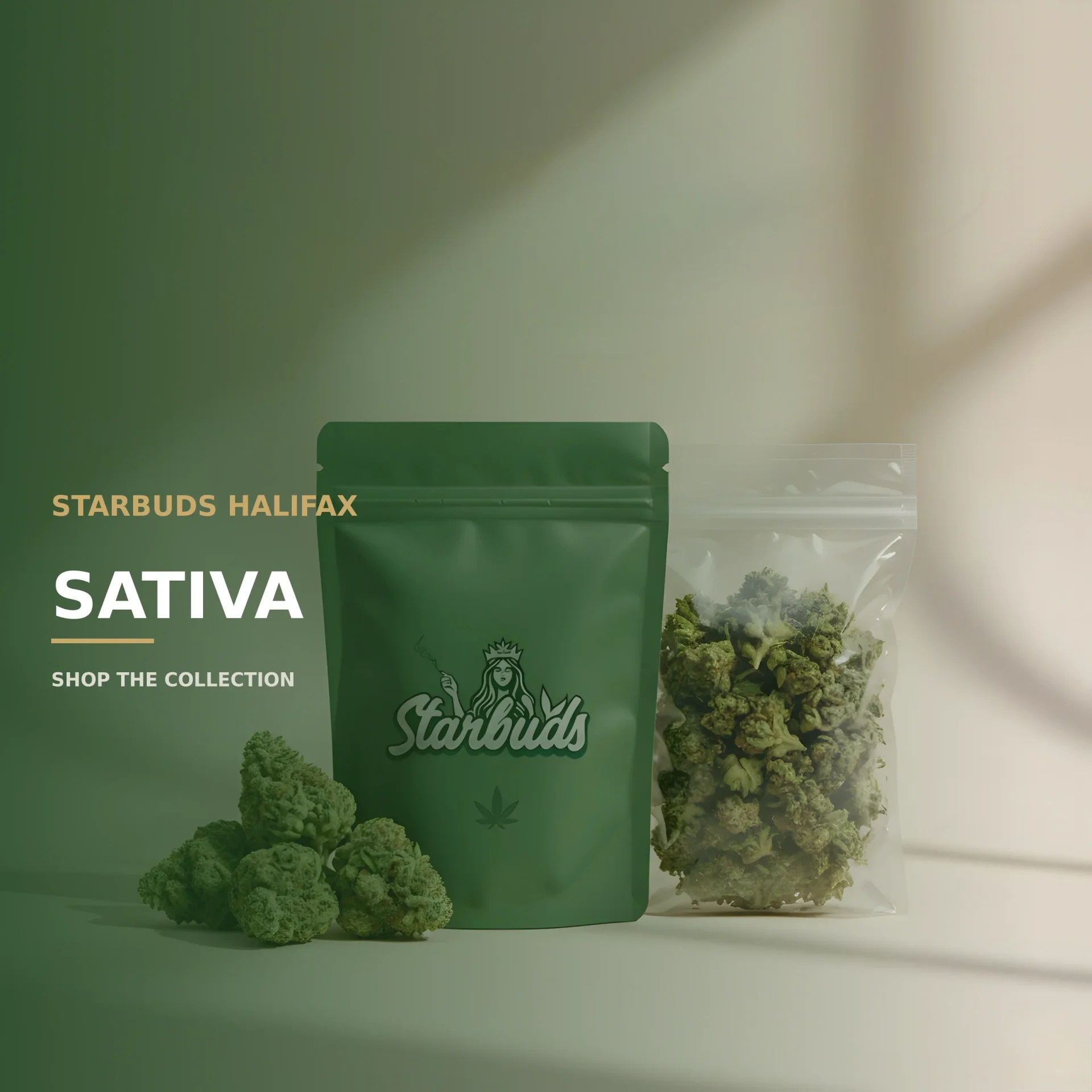 Sativa
