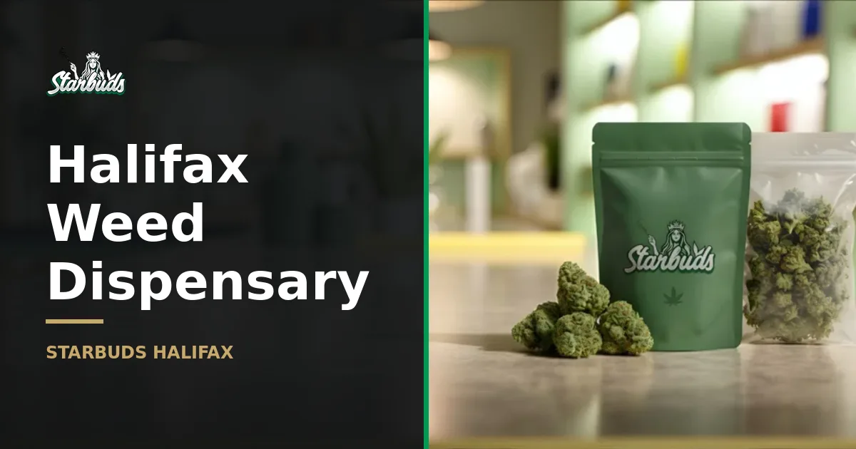 Starbuds Halifax: Your Top Dispensary Choice