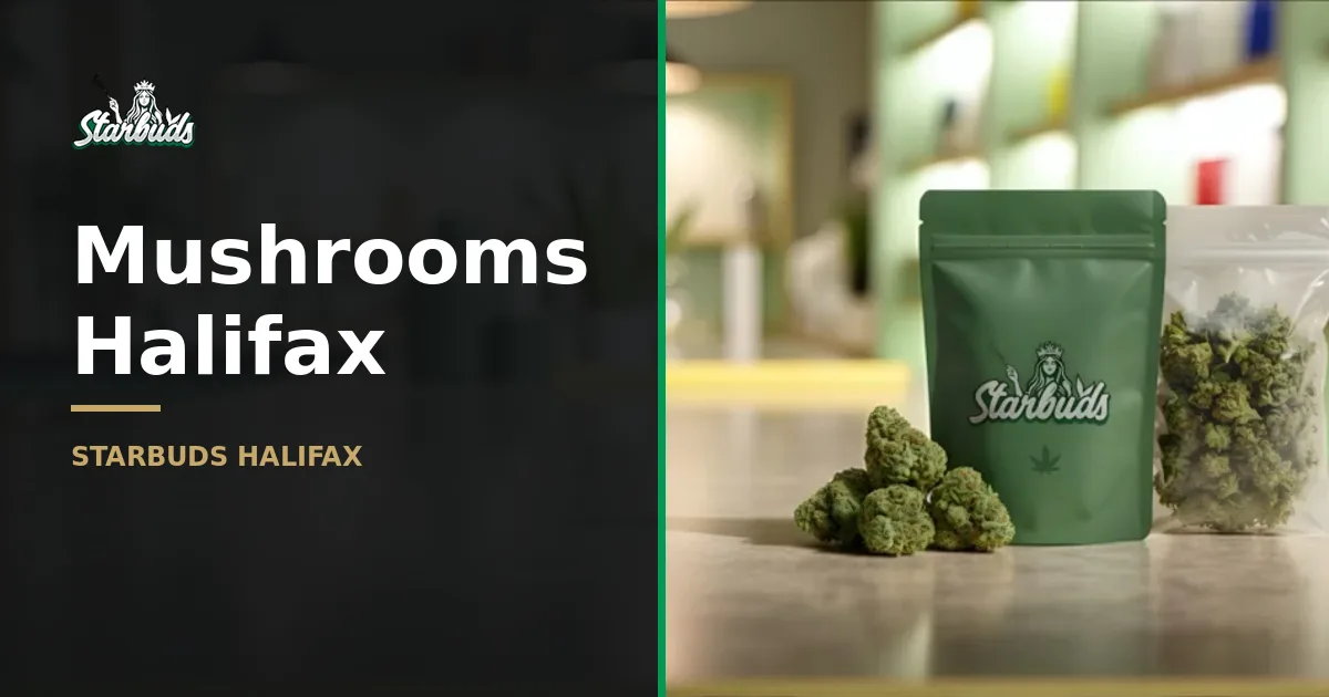 Mushrooms Halifax: Your Guide to Psychedelics
