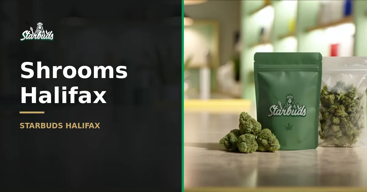 Shrooms Halifax: Your Guide to Psilocybin