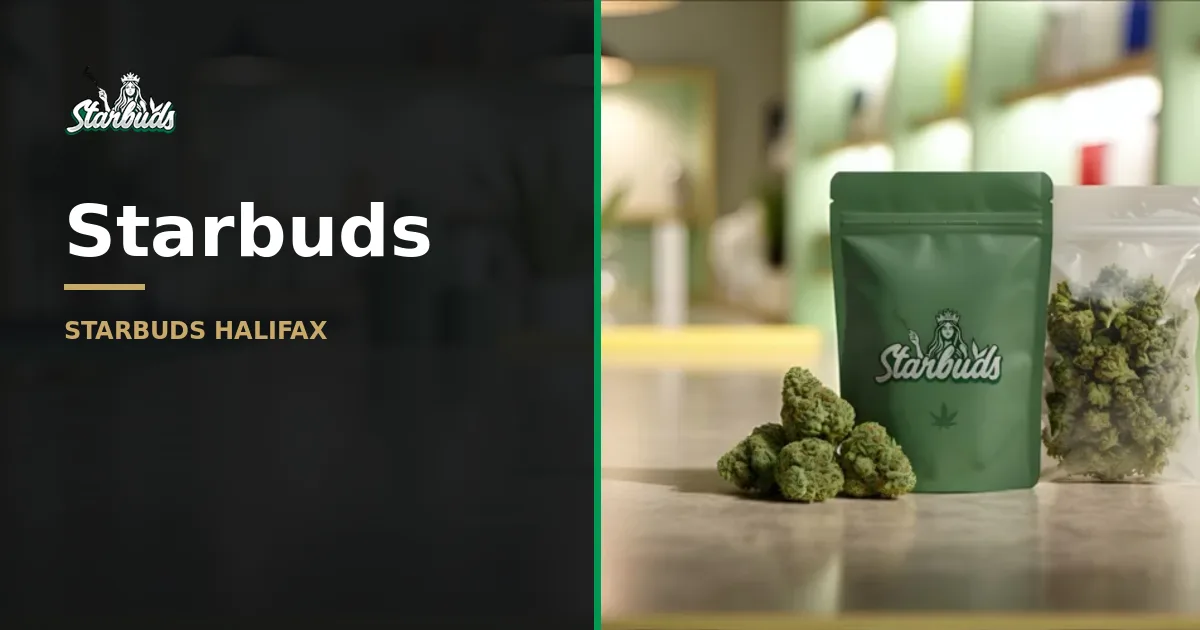 Starbuds Halifax: Your Guide to Cannabis