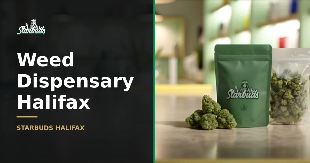 Weed Dispensary Halifax | Starbuds Halifax