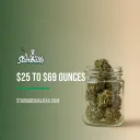 $25 to $69 Ounces