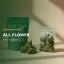 All Flower