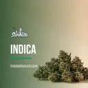 Indica