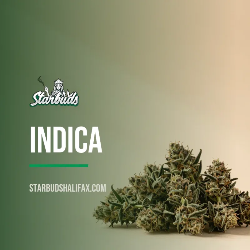 Indica