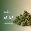 Sativa